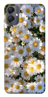 Чохол на Samsung Galaxy A05 Поле ромашок фото 1 з 1