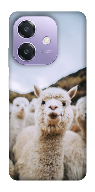 Чехол на Oppo A3 4G Лама фото 1 из 1