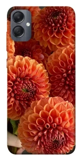 Чохол на Samsung Galaxy A05 Flower1 фото 1 з 1