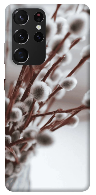 Чехол на Samsung Galaxy S21 Ultra Magic фото 1 из 1