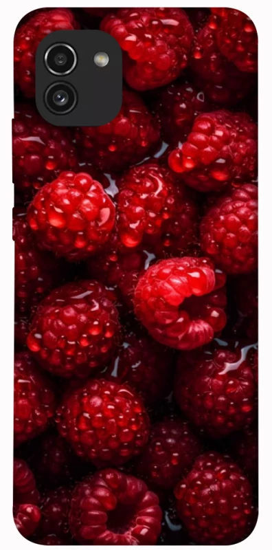 Чехол на Samsung Galaxy A03 Малинка фото 1 из 1