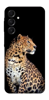 Чохол на Samsung Galaxy A17 4G/5G Leopard v2 фото 1 з 1