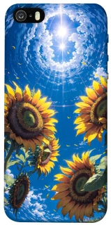Чехол на Apple iPhone 5/5S/SE Sunflowers фото 1 из 1