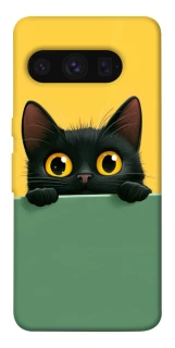 Чехол на Google Pixel 8 Pro Black cat v2 фото 1 из 1