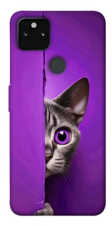 Чохол на Google Pixel 5A Кіт-підглядач фото 1 з 1