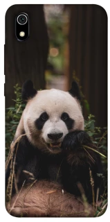 Чехол на Xiaomi Redmi 7A Панда фото 1 из 1