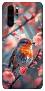 Чехол на Huawei P30 Pro Birdie фото 1 из 1