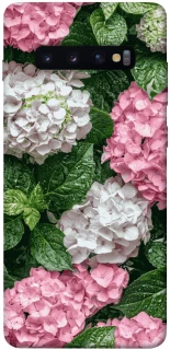 Чохол на Samsung Galaxy S10+ Secret Garden фото 1 з 1