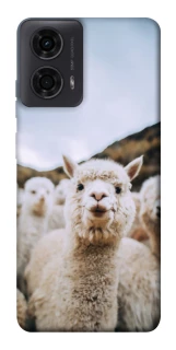 Чохол на Motorola Moto G24 Лама фото 1 з 1