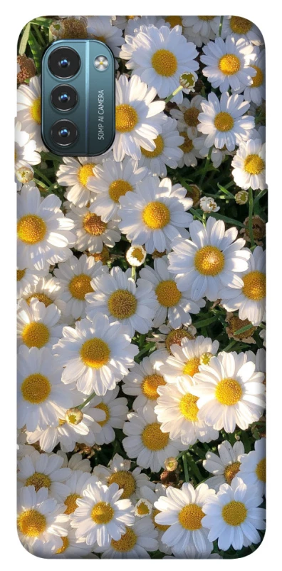 Чохол на Nokia G21 Поле ромашок фото 1 з 1