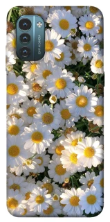 Чехол на Nokia G21 Поле ромашек фото 1 из 1