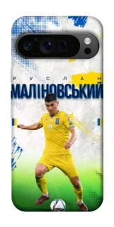 Чехол на Google Pixel 9 Pro Малиновский №8 фото 1 из 1