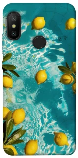 Чохол на Xiaomi Mi A2 Lite / Xiaomi Redmi 6 Pro Lemon фото 1 з 1