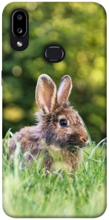 Чехол на Samsung Galaxy A10s Кролики фото 1 из 1