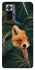 Чехол на Xiaomi Redmi Note 10 Pro Fox фото 1 из 1