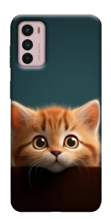 Чохол на Motorola Moto G42 Чохол Кошеня фото 1 з 1