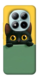 Чехол на Xiaomi Redmi Note 15 Pro+ 5G Black cat v2 фото 1 из 1