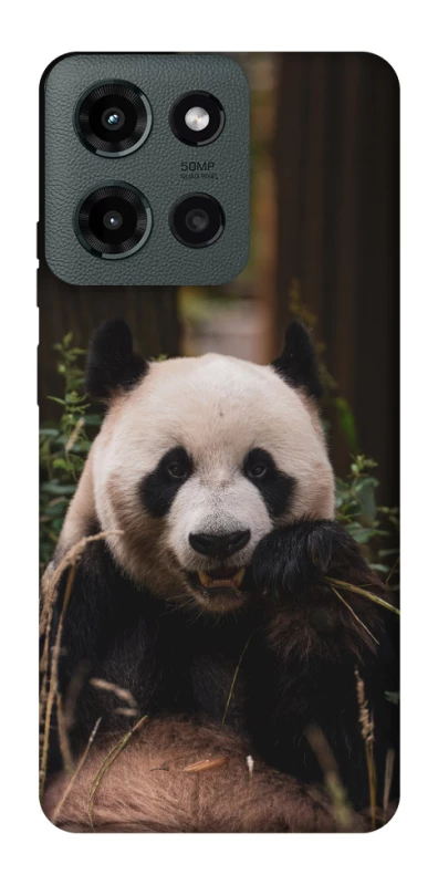 Чохол на Motorola Moto G Power (2025) Панда фото 1 з 1