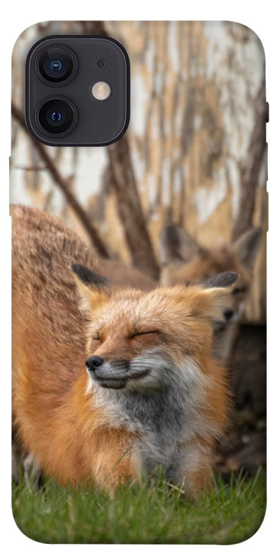 Чехол на Apple iPhone 12 (6.1") Лиса фото 1 из 1