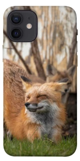 Чехол на Apple iPhone 12 (6.1") Лиса фото 1 из 1