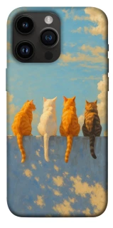 Чохол на Apple iPhone 14 Pro Max (6.7") cats on wall фото 1 з 1