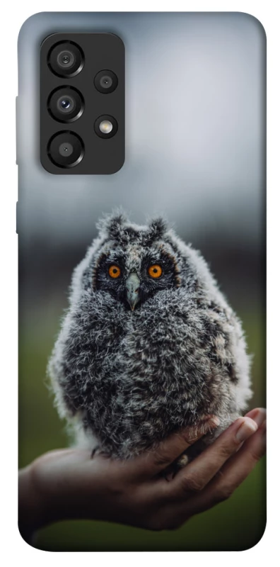 Чехол на Samsung Galaxy A33 5G Совёнок фото 1 из 1