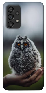 Чохол на Samsung Galaxy A33 5G Совеня фото 1 з 1