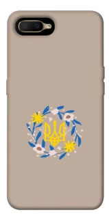 Чохол на OPPO A5 / A3S / AX5 / R15-NEO Герб v99 фото 1 з 1
