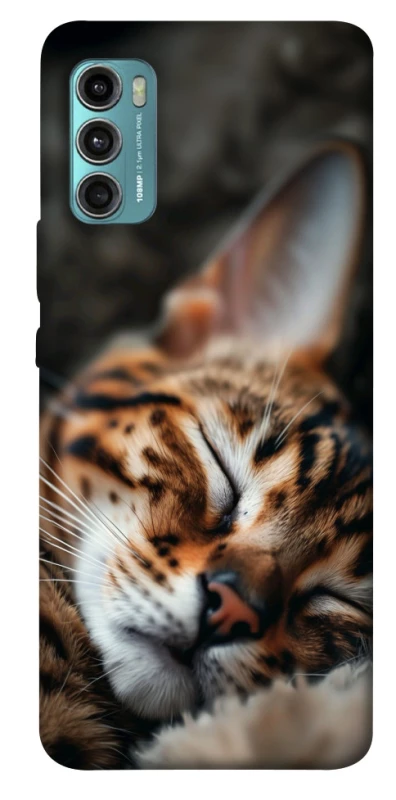 Чохол на Motorola Moto G60 Cat paws фото 1 з 1