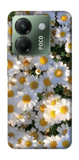 Чехол на Xiaomi Poco M7 pro 5G Поле ромашек фото 1 из 1