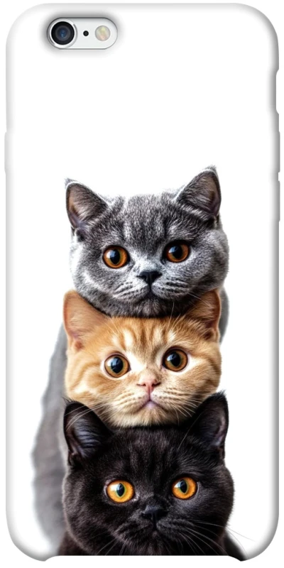 Чохол на Apple iPhone 6/6s plus (5.5") Гарні котики фото 1 з 1