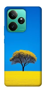 Чохол на Realme GT 7 Field v2 фото 1 з 1