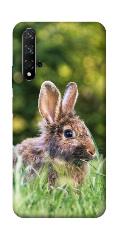 Чохол на Huawei Honor 20 / Nova 5T Кролики фото 1 з 1