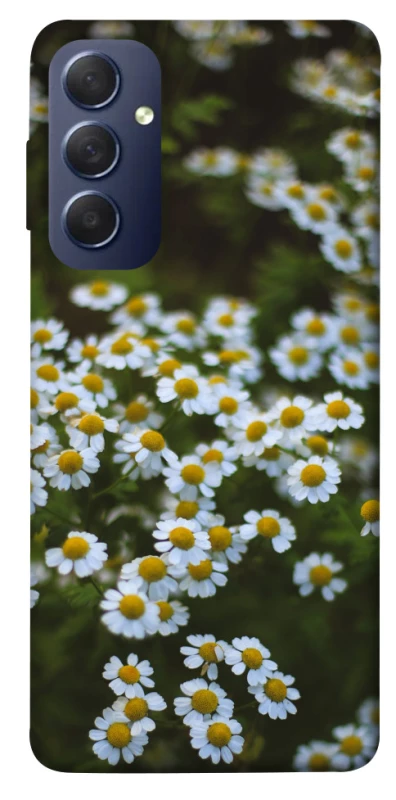 Чехол на Samsung Galaxy M54 5G Ромашки v13 фото 1 из 1