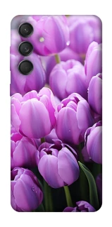 Чехол на Samsung Galaxy M55 Фиолетовые тюльпаны фото 1 из 1