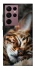 Чехол на Samsung Galaxy S22 Ultra Cat paws фото 1 из 1