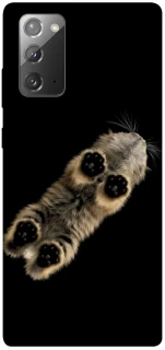 Чехол на Samsung Galaxy Note 20 Cat фото 1 из 1