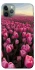Чехол на Apple iPhone 11 Pro Max (6.5") Spring Awakening фото 1 из 1