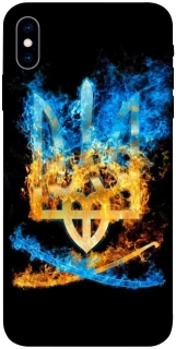 Чохол на Apple iPhone X (5.8") Герб v16 фото 1 з 1
