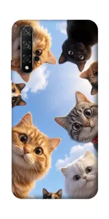 Чехол на Huawei Honor 20 / Nova 5T Cats фото 1 из 1
