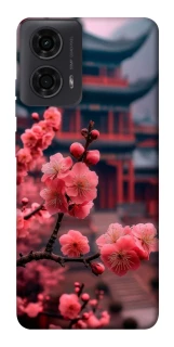 Чохол на Motorola Moto G24 Flowers v29 фото 1 з 1