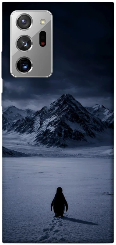 Чохол на Samsung Galaxy Note 20 Ultra But why? фото 1 з 1