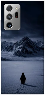 Чехол на Samsung Galaxy Note 20 Ultra But why? фото 1 из 1