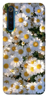 Чохол на Realme 6 Pro Поле ромашок фото 1 з 1