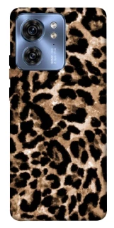 Чохол на Motorola Edge 40 Leopard Skin v4 фото 1 з 1