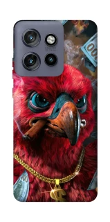 Чохол на Motorola Edge 50 Neo Папуга фото 1 з 1