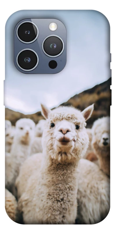 Чехол на Apple iPhone 16 Pro Max Лама фото 1 из 1