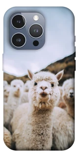 Чехол на Apple iPhone 16 Pro Max Лама фото 1 из 1