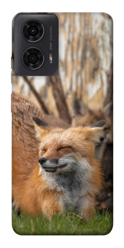 Чохол на Motorola Moto G04 Лисиця фото 1 з 1