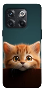 Чохол на OnePlus 10T Чохол Кошеня фото 1 з 1